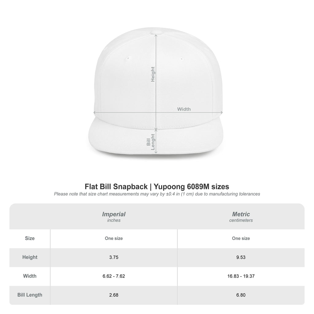 INSIGNIA SNAPBACK